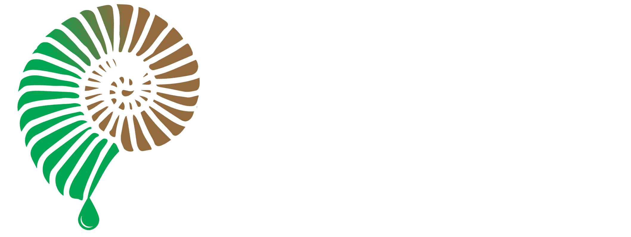 Fossil Manufacturing
